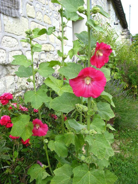 La Balastiere Beaumont-en-Véron Kültér fotó